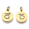 304 Stainless Steel Charms STAS-Q201-T446G-02-1