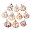 Natural Scallop Shell Pendants PALLOY-JF01209-1