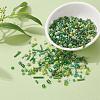 Glass Seed Beads X-SEED-S059-006-6