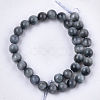 Natural Hawk's Eye Beads Strands X-G-S333-6mm-027-2