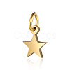 201 Stainless Steel Charms STAS-S105-T554D-6-2-1