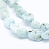 Natural Larimar Beads Strands G-K203-48-3