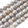 Natural Labradorite Beads Strands X-G-G212-8mm-23-7
