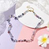Natural Fluorite Chip Beaded Necklace NJEW-JN04616-11-2