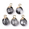 Natural Map Stone/Picasso Stone/Picasso Jasper Charms X-G-N326-58B-2
