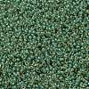 MIYUKI Round Rocailles Beads SEED-JP0010-RR0374-2