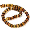 Natural Amber Beads Strands G-K387-C01-02-4