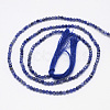 Natural Sodalite Bead Strands G-G936-2mm-19-2