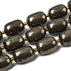 Natural Pyrite Beads Strands G-Z131-D01-01-2