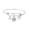 Stainless Steel Micro Pave Cubic Zirconia Charm Bangles  PW-WG9247A-02-1