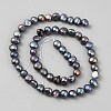 Dyed Natural Cultured Freshwater Pearl Beads Strands PEAR-WH0004-12-2