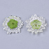 Transparent Clear Epoxy Resin Cabochons LS-CRES-N025-02C-2