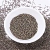 MIYUKI Delica Beads Small SEED-X0054-DBS0380-2