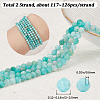 Beebeecraft 2Strands Natural Amazonite Beads Strands G-BBC0001-32-2