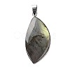 Natural Labradorite Teardrop Pendants G-L350-03-4