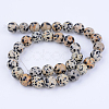 Natural Dalmatian Jasper Beads Strands G-Q462-10mm-30-3
