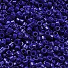 Baking Paint Glass Seed Beads SEED-S042-05A-26-3