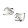 Non-Tarnish 304 Stainless Steel Charm STAS-B047-34P-2
