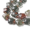Natural African Bloodstone Beads Strands G-NH0005-003-4