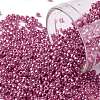 TOHO 11/0 Round Beads X-SEED-TR11-PF0563-1
