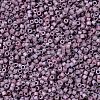 MIYUKI Delica Beads X-SEED-J020-DB1066-3
