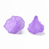 Transparent Acrylic Beads X-BSF796-C26-2
