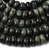Natural Kambaba Jasper Beads Strands G-A280-A28-03-4