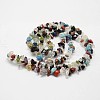 Natural Gemstone Beads Strands G-F328-26-3