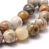 Natural Crazy Lace Agate Round Bead Strands X-G-E334-6mm-20-1