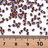 12/0 Glass Seed Beads SEED-S005-42-4