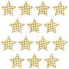 20Pcs Polyester Clothing Patches DIY-CY0002-35C-1