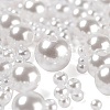 1700Pcs ABS Plastic Imitation Pearl Beads KY-LS0001-19-3