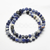 Natural Sodalite Beads Strands G-J364-01-10mm-2