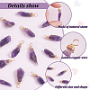 16Pcs Raw Rough Natural Amethyst Copper Wire Wrapped Pendants PALLOY-AB00104-4