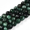 Natural Fuchsite Beads Strands G-T140-20C-1