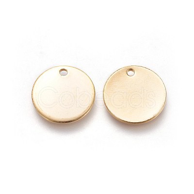304 Stainless Steel Charms STAS-I098-06-1