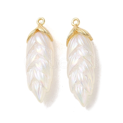 Rainbow Iridescent Plating Resin Pendants LS-RESI-C047-03B-G-1