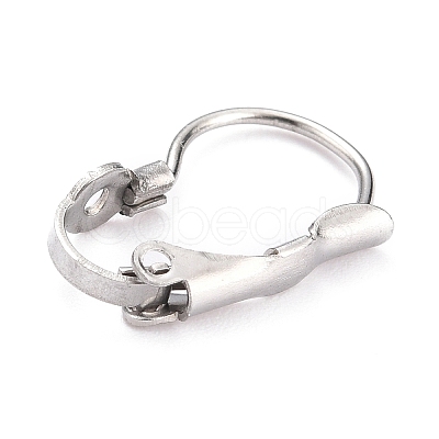 Tarnish Resistant 304 Stainless Steel Leverback Earring Findings LS-STAS-B003-05P-1