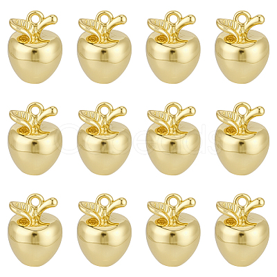 12Pcs Brass Charms KK-BC0015-09G-1