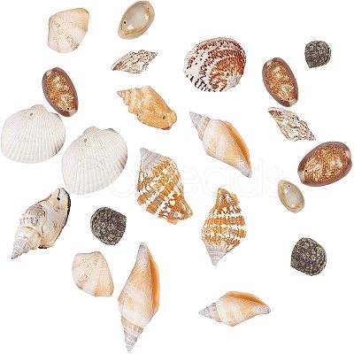 Mixed Natural Shell Bead Sets BSHE-PH0003-03-1
