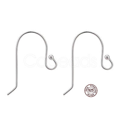 925 Sterling Silver Earring Hooks STER-G011-12-1