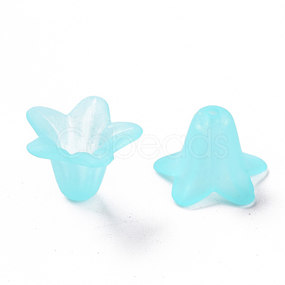 Transparent Acrylic Beads PLF018-13-1