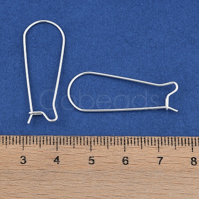 304 Stainless Steel Hoop Earring Findings STAS-P223-01S-04-1