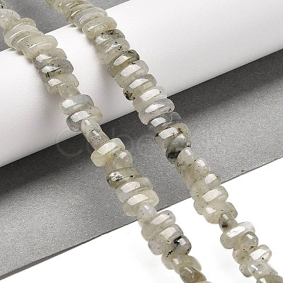 Natural Labradorite Beads Strands G-Q167-B19-01-1