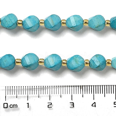 Dyed Natural Howlite Beads Strands G-G023-B01-02C-1