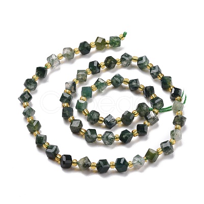 Natural Moss Agate Beads Strands G-P463-10-1