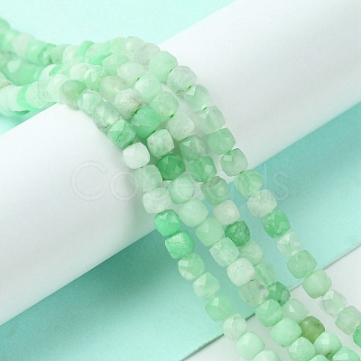 Natural Chrysoprase Beads Strands G-F748-F01-01A-1