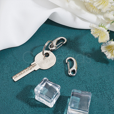 304 Stainless Steel Keychain Clasp Findings STAS-PH0002-24P-1