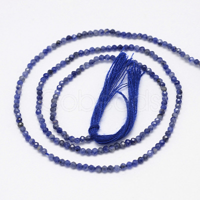 Natural Sodalite Bead Strands G-G936-2mm-19-1