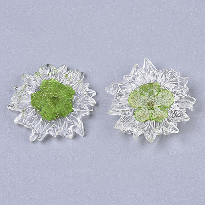 Transparent Clear Epoxy Resin Cabochons LS-CRES-N025-02C-1